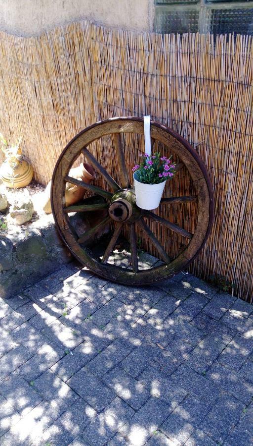 Ferienwohnungen Pension Aurora 卡伯尔-格拉芬豪森 外观 照片